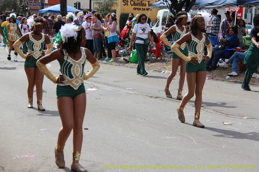 2014-Krewe-of-Iris-11354