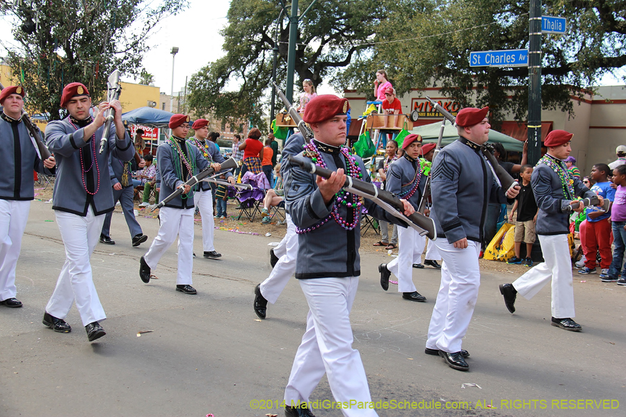 2014-Krewe-of-Iris-11357