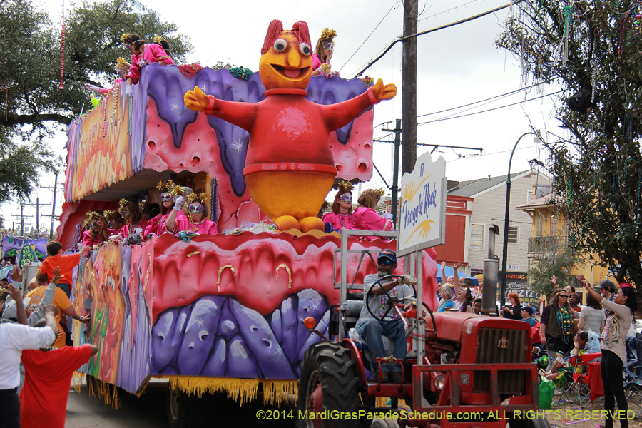 2014-Krewe-of-Iris-11359