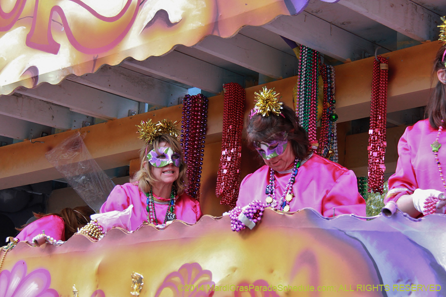 2014-Krewe-of-Iris-11363