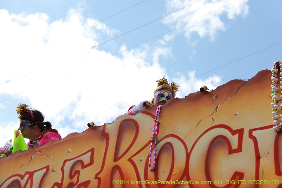 2014-Krewe-of-Iris-11364