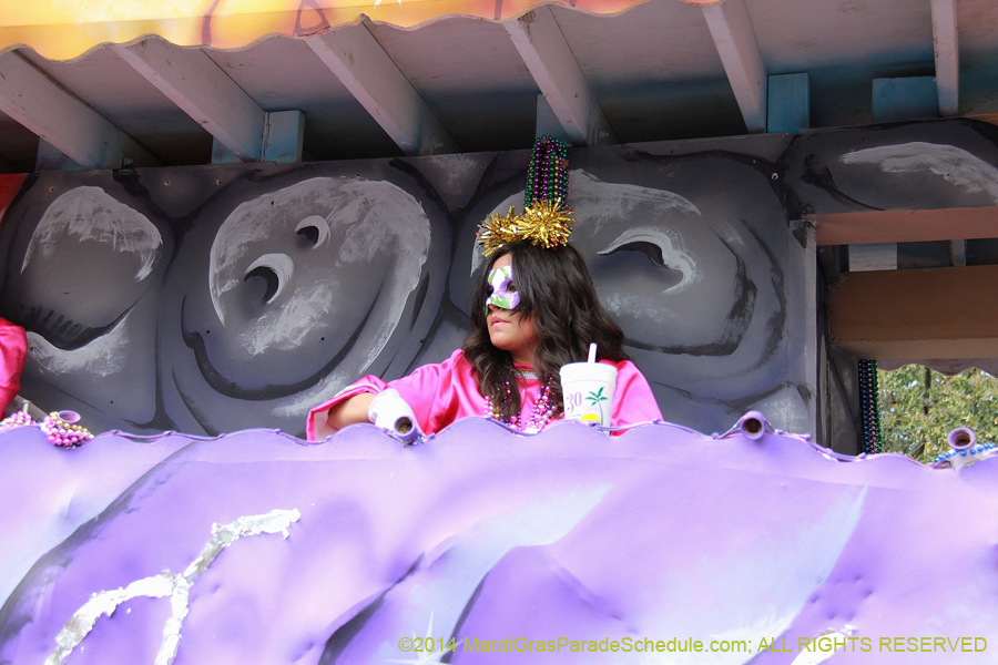 2014-Krewe-of-Iris-11367