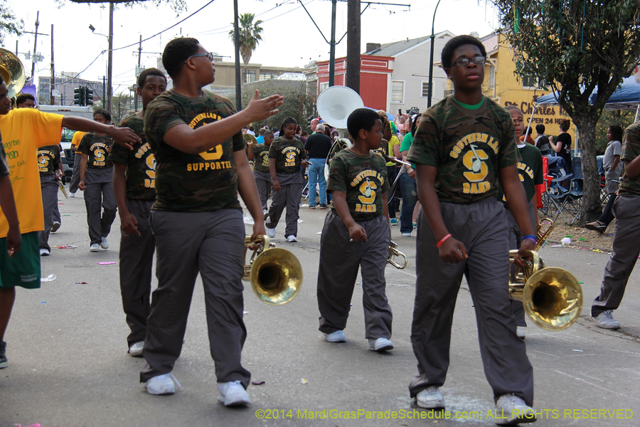 2014-Krewe-of-Iris-11373