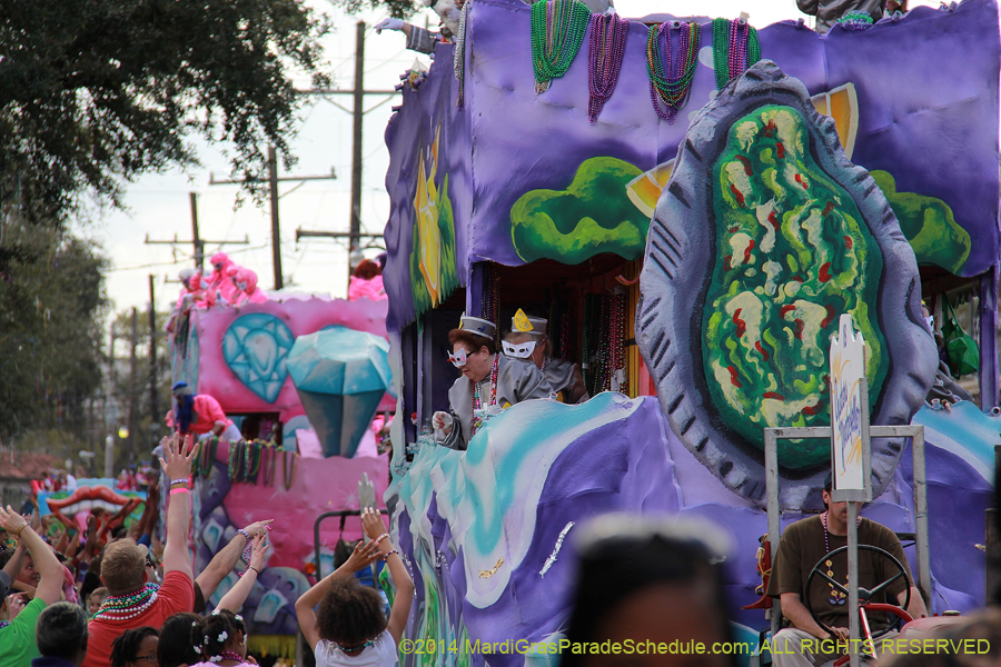 2014-Krewe-of-Iris-11375