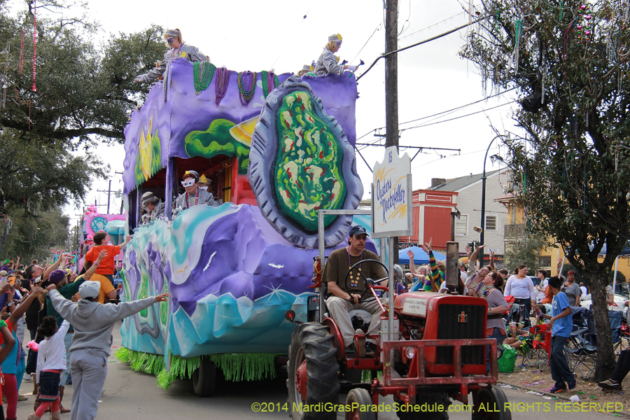 2014-Krewe-of-Iris-11377