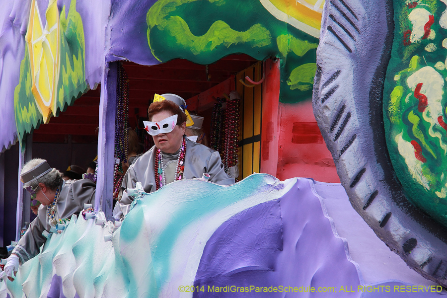 2014-Krewe-of-Iris-11378