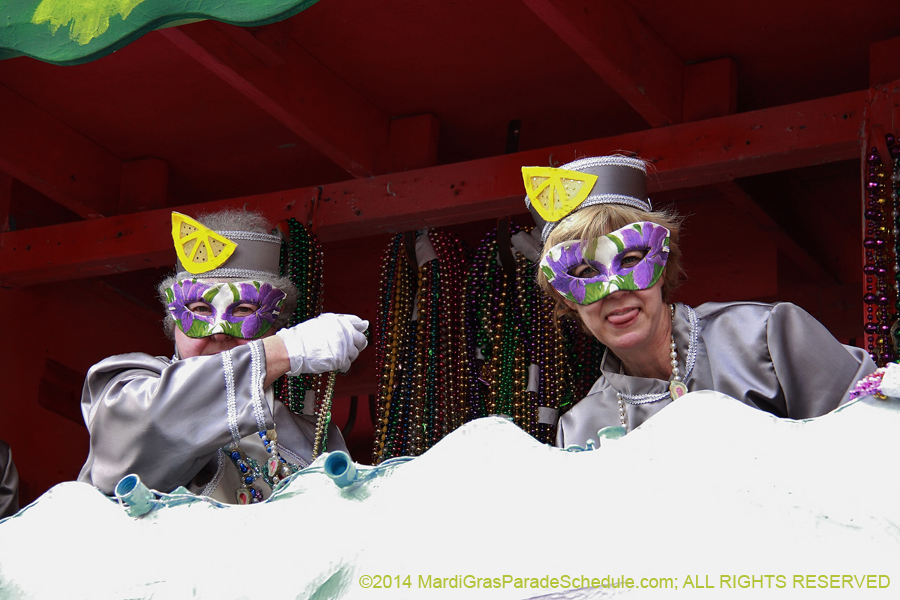 2014-Krewe-of-Iris-11382