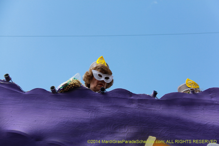 2014-Krewe-of-Iris-11384