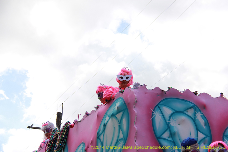 2014-Krewe-of-Iris-11389