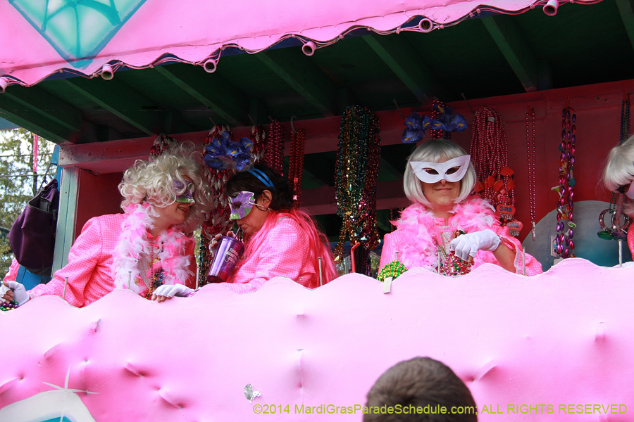 2014-Krewe-of-Iris-11392