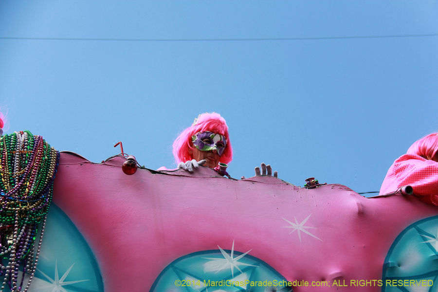 2014-Krewe-of-Iris-11394