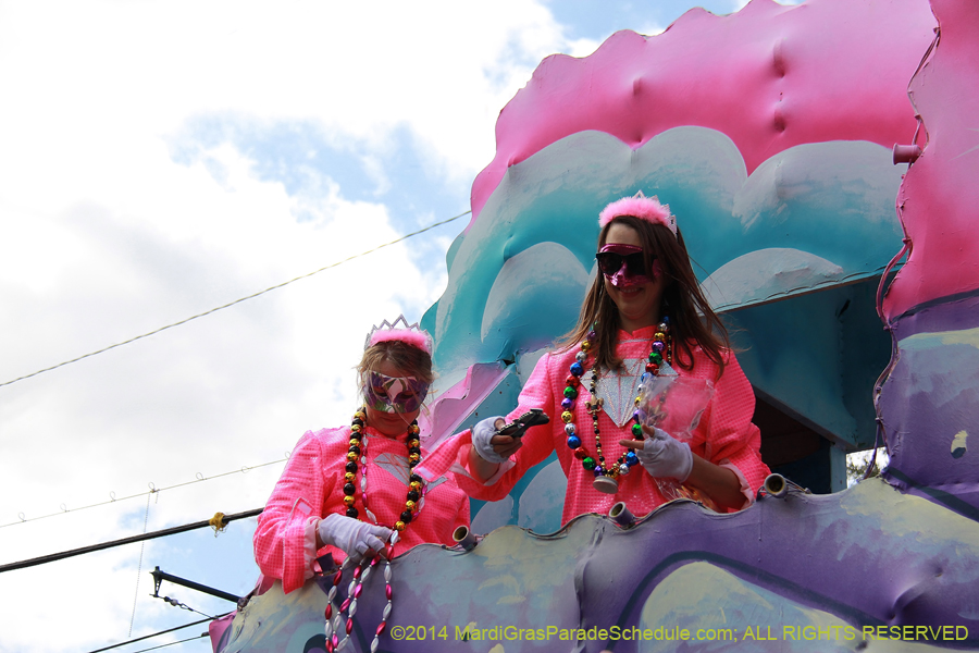 2014-Krewe-of-Iris-11395