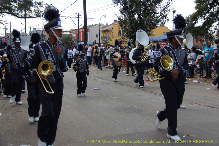 2014-Krewe-of-Iris-11399