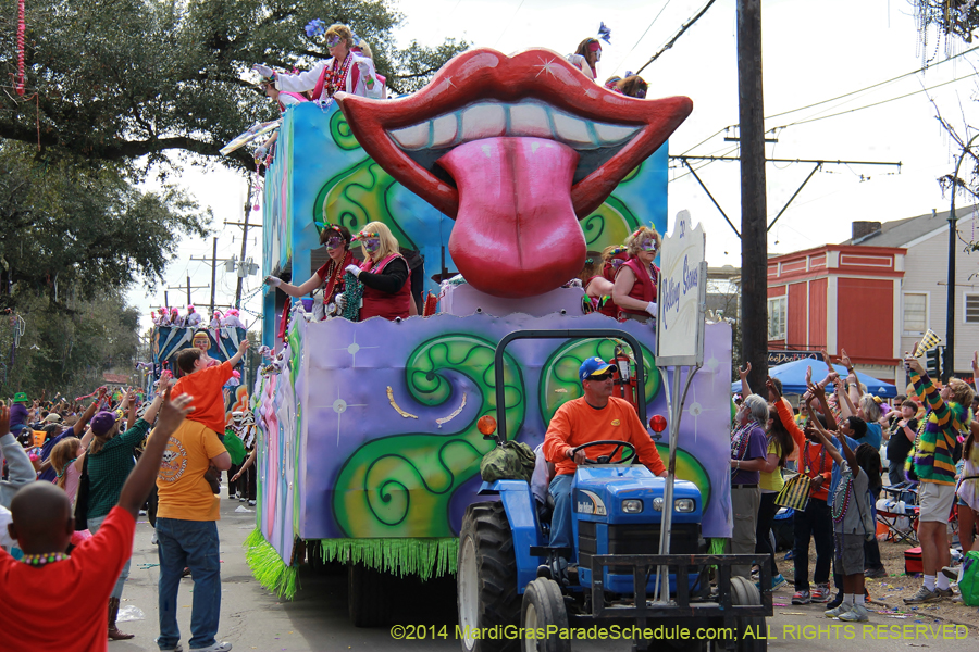 2014-Krewe-of-Iris-11403