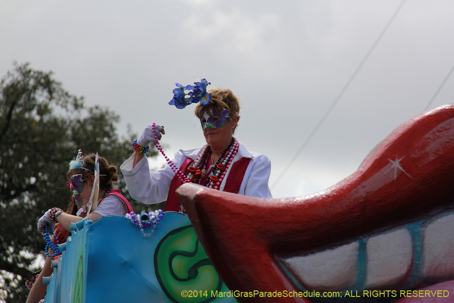 2014-Krewe-of-Iris-11404