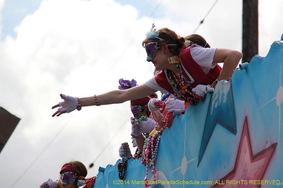 2014-Krewe-of-Iris-11406