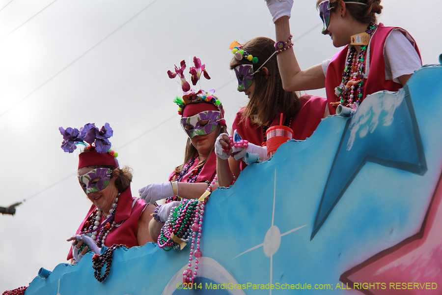 2014-Krewe-of-Iris-11407