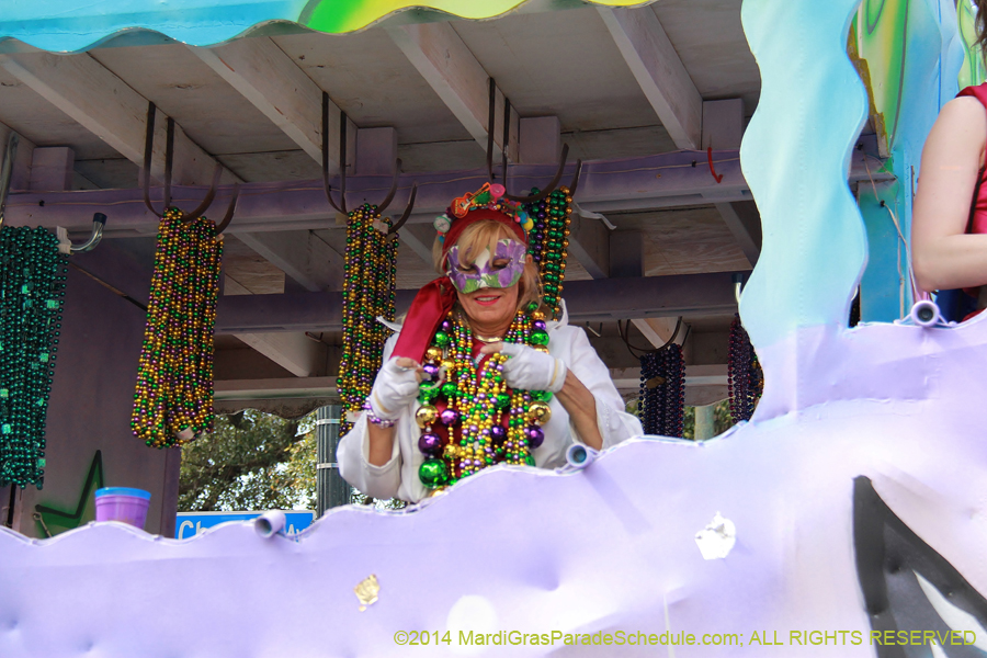 2014-Krewe-of-Iris-11409