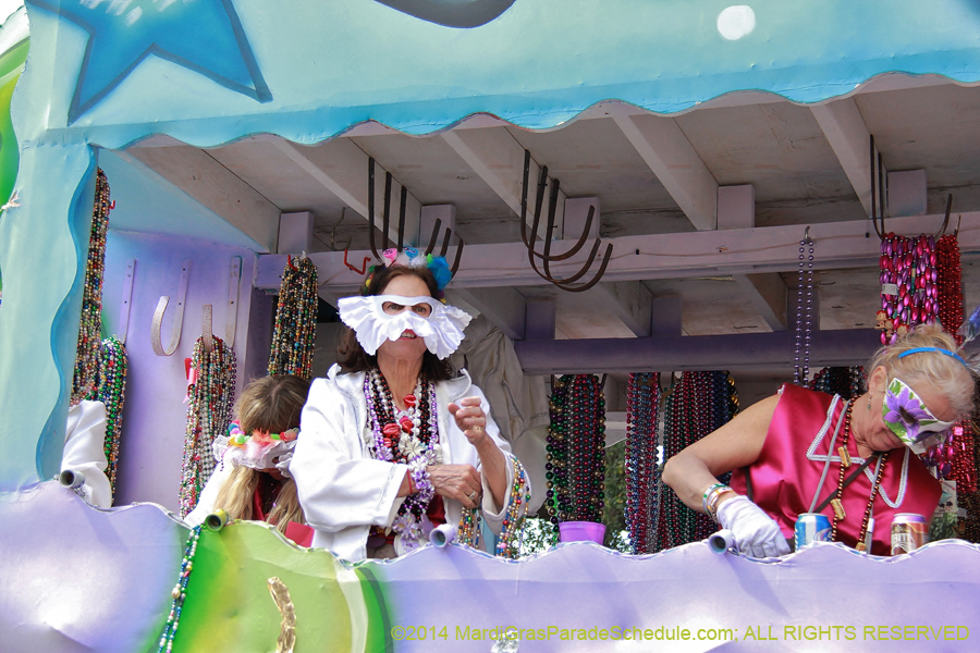 2014-Krewe-of-Iris-11411