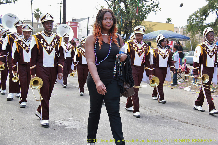 2014-Krewe-of-Iris-11416