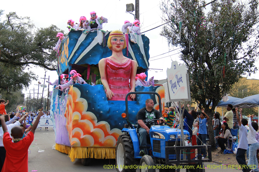 2014-Krewe-of-Iris-11419