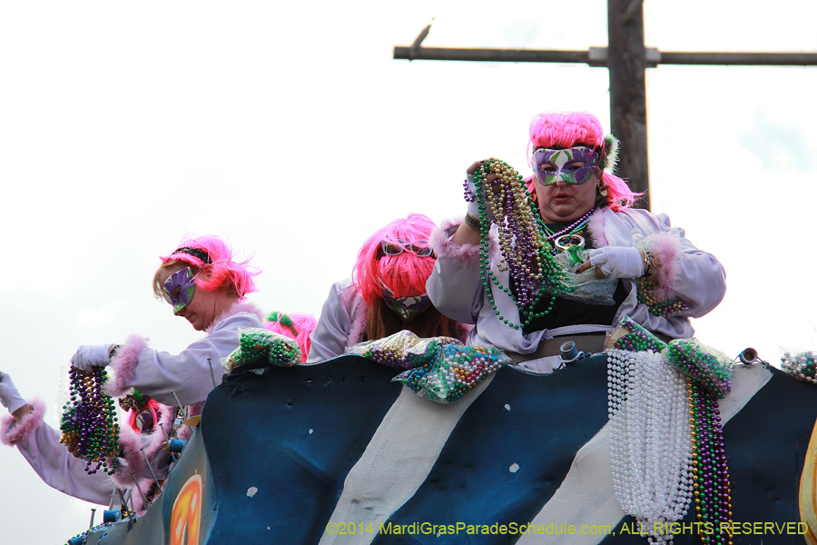 2014-Krewe-of-Iris-11420