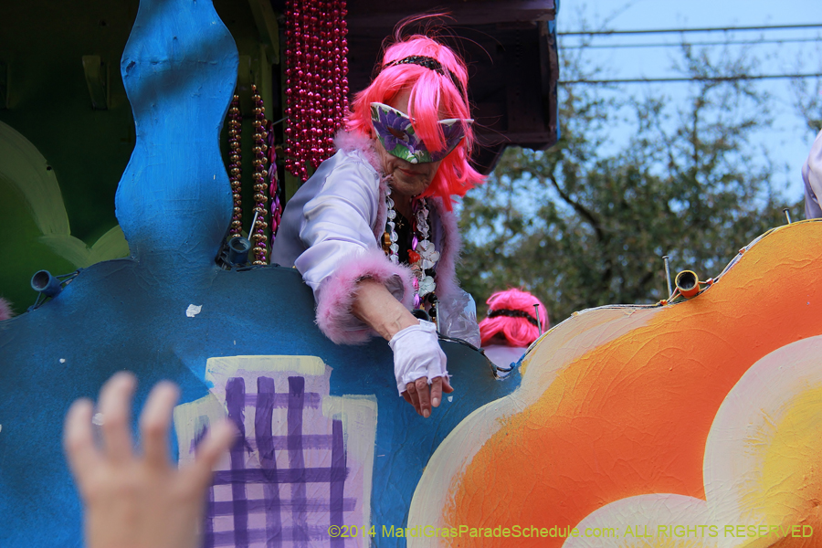 2014-Krewe-of-Iris-11425