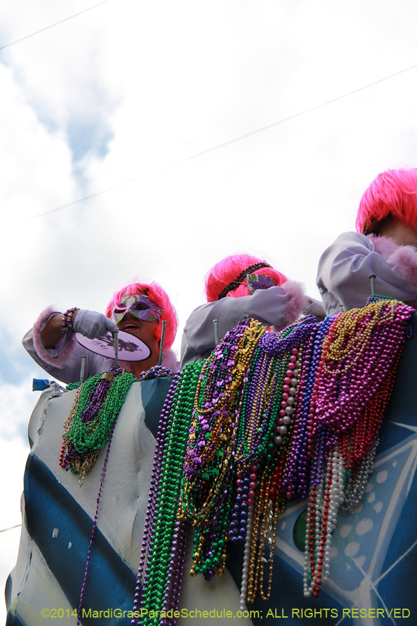 2014-Krewe-of-Iris-11427