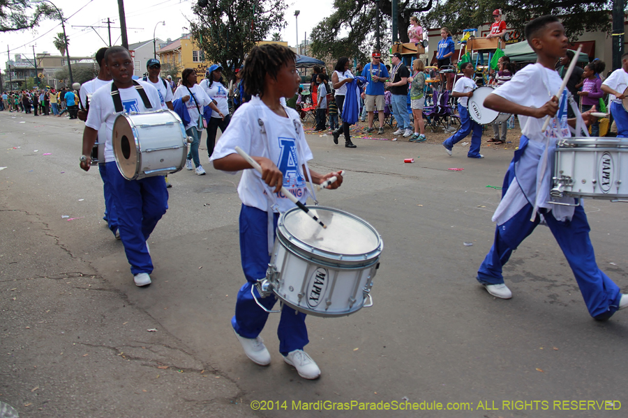 2014-Krewe-of-Iris-11433