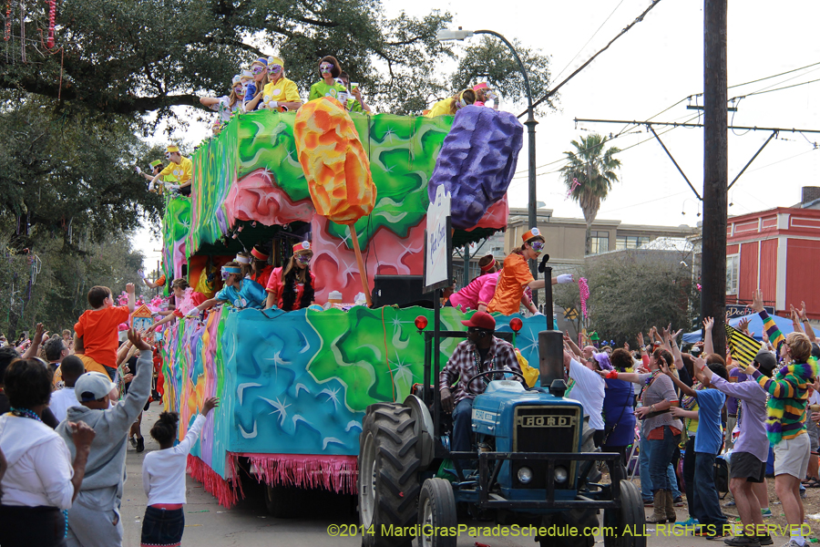 2014-Krewe-of-Iris-11434