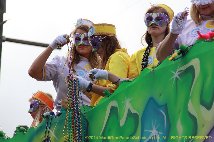 2014-Krewe-of-Iris-11437