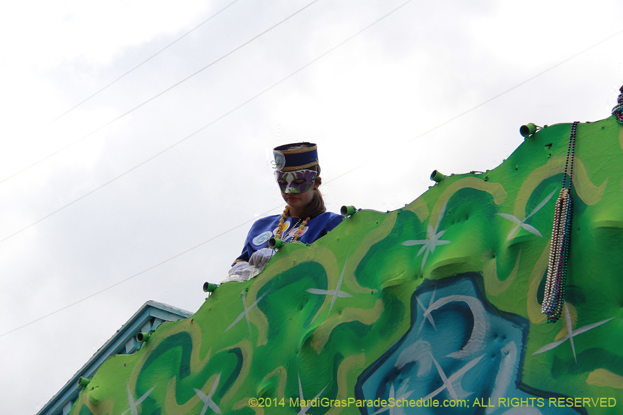 2014-Krewe-of-Iris-11446