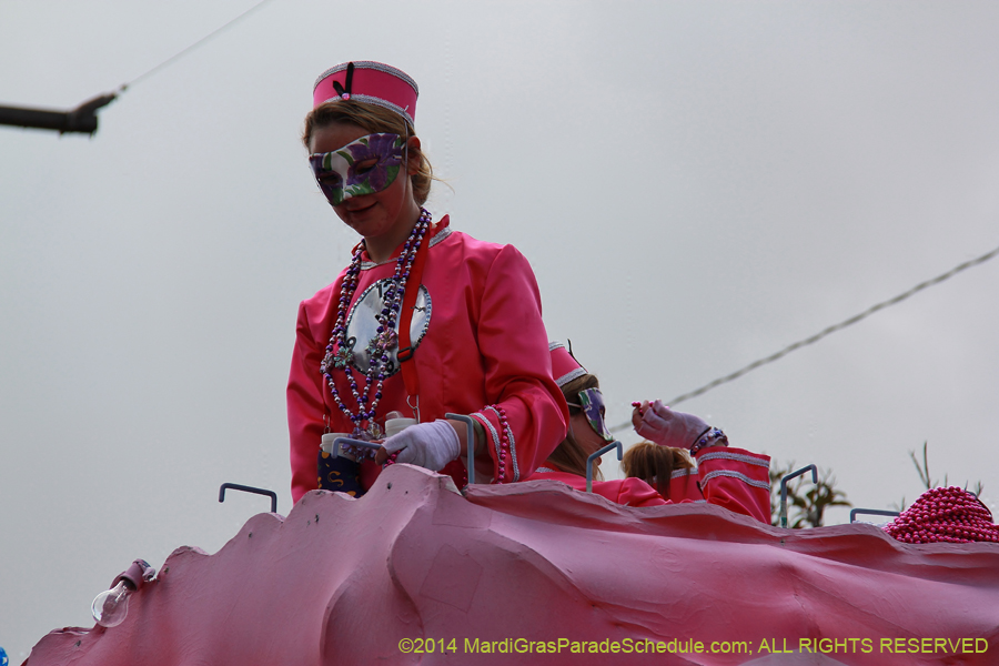 2014-Krewe-of-Iris-11458