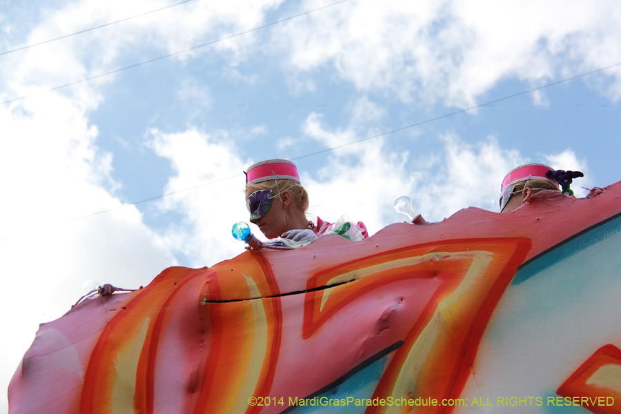 2014-Krewe-of-Iris-11465