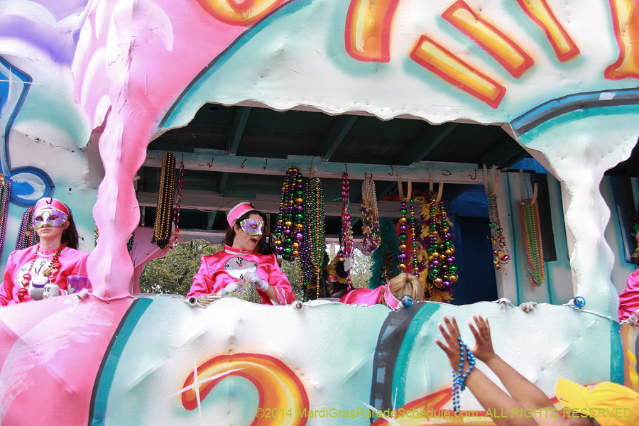 2014-Krewe-of-Iris-11467