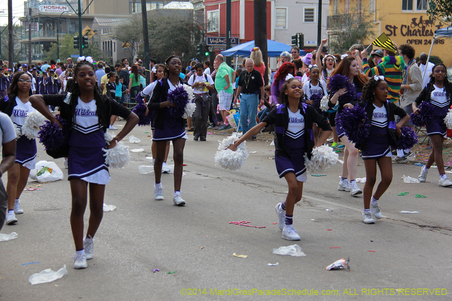 2014-Krewe-of-Iris-11470