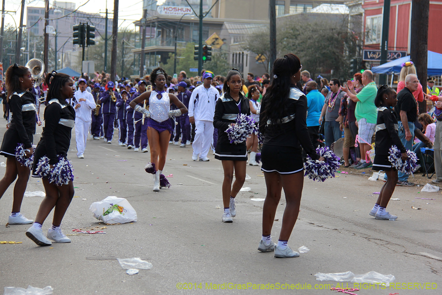 2014-Krewe-of-Iris-11471