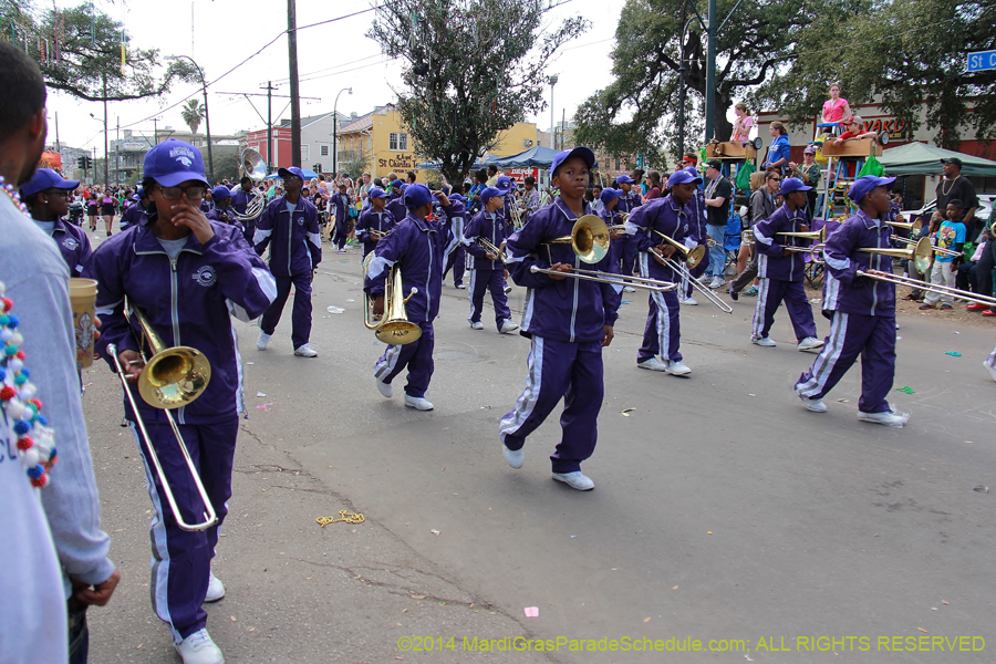 2014-Krewe-of-Iris-11472