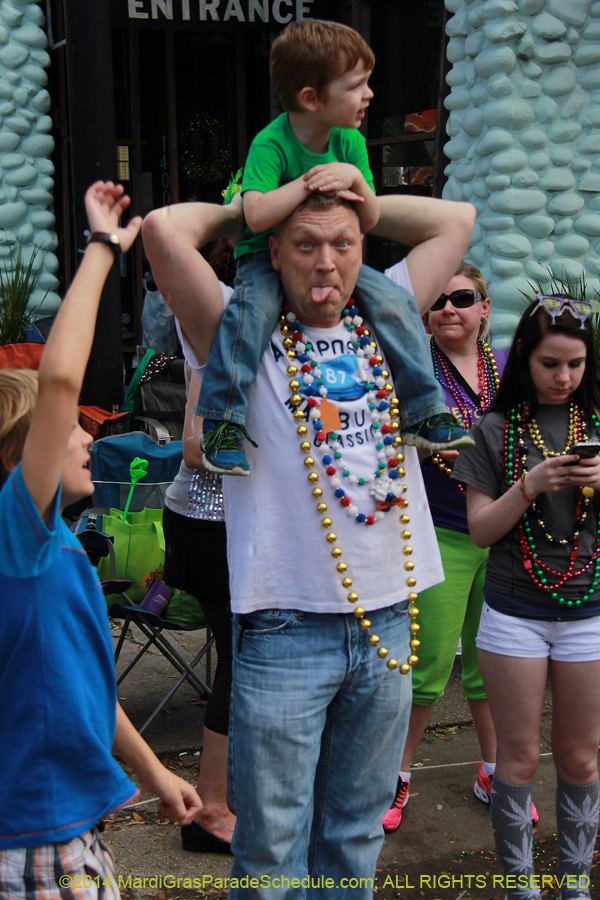 2014-Krewe-of-Iris-11475