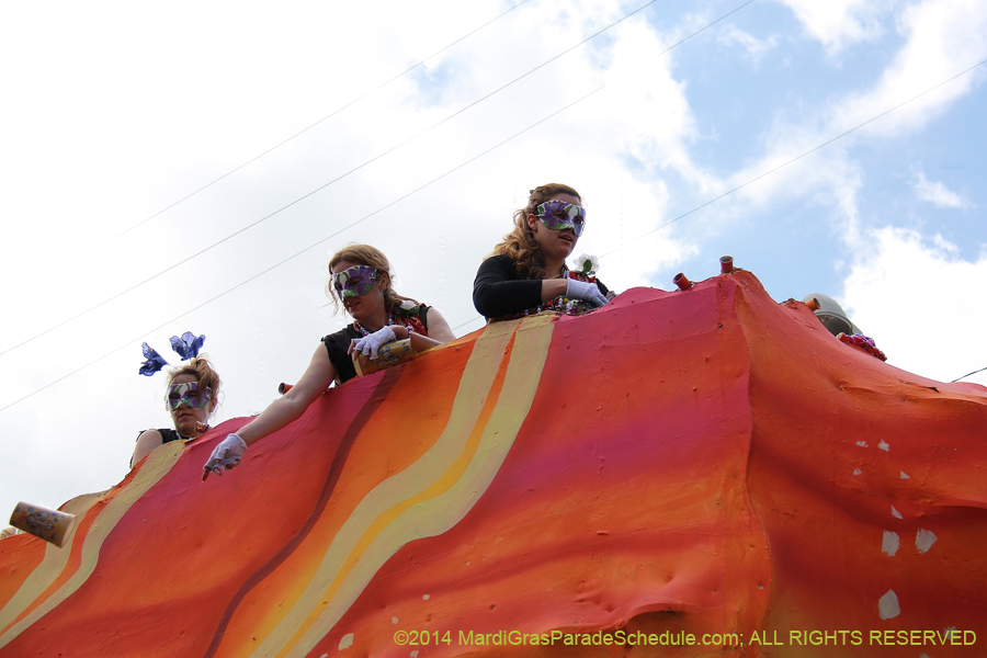 2014-Krewe-of-Iris-11479