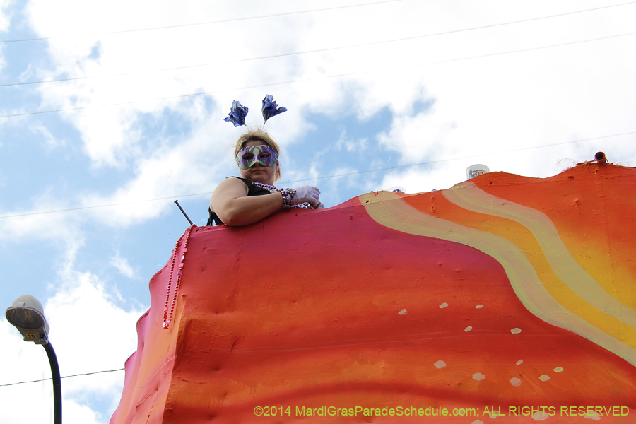 2014-Krewe-of-Iris-11483