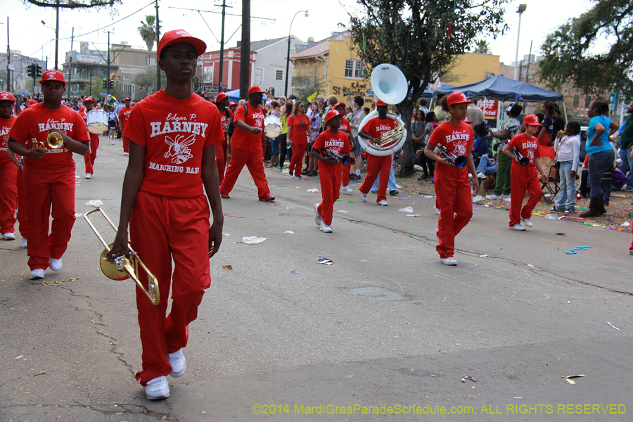 2014-Krewe-of-Iris-11485