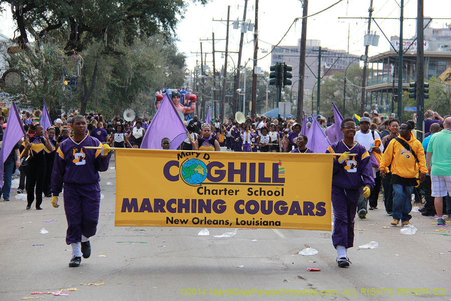 2014-Krewe-of-Iris-11498