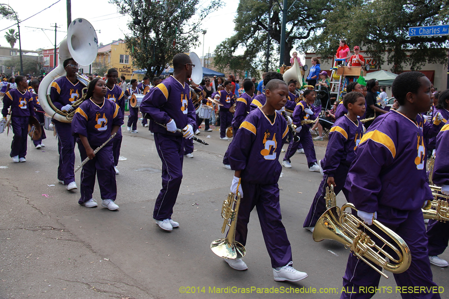 2014-Krewe-of-Iris-11502