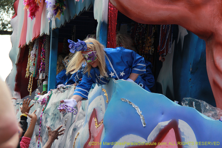 2014-Krewe-of-Iris-11507