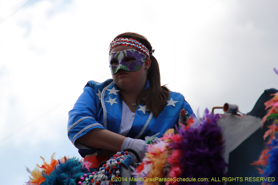 2014-Krewe-of-Iris-11508