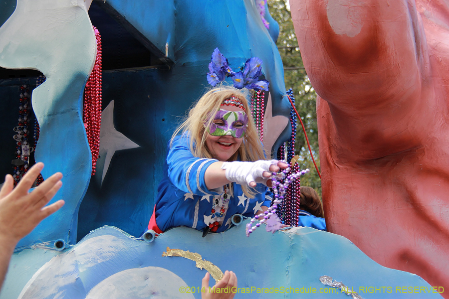 2014-Krewe-of-Iris-11509