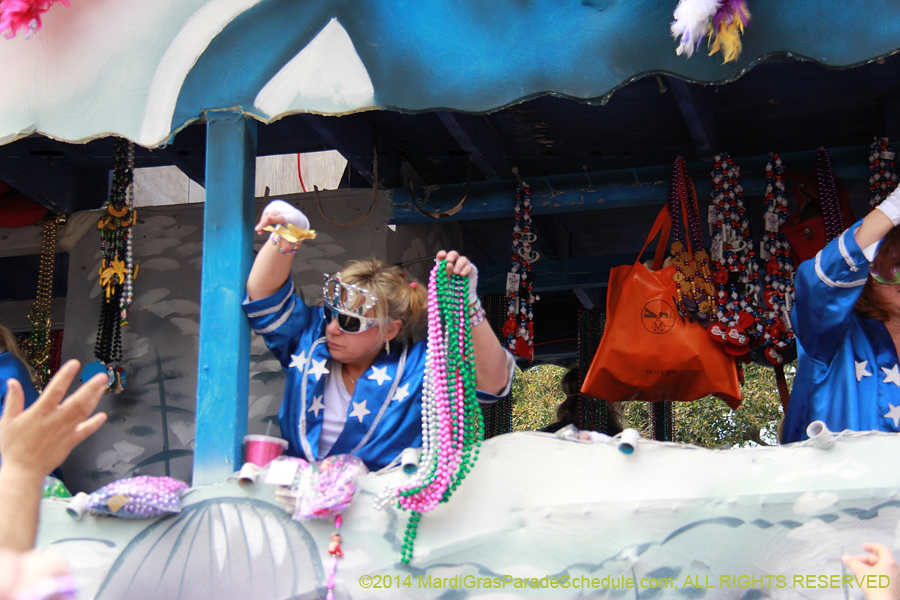 2014-Krewe-of-Iris-11511