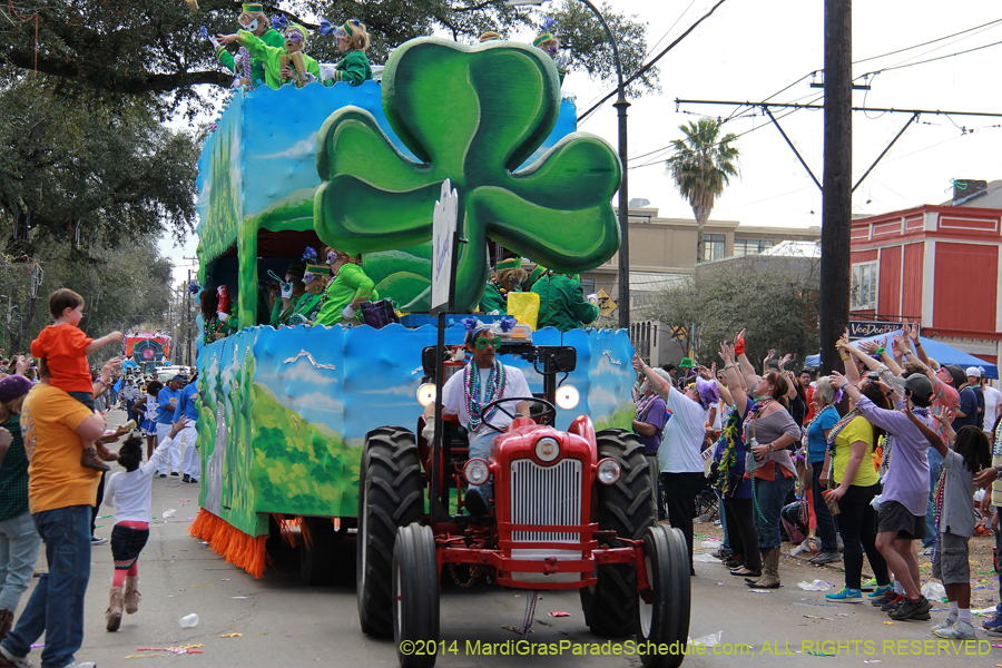 2014-Krewe-of-Iris-11517