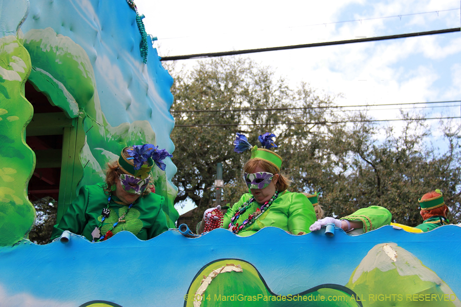 2014-Krewe-of-Iris-11519